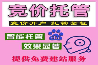 百度竞价排名策略解析及实战案例
