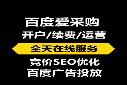 网络推广与竞价优化成功案例