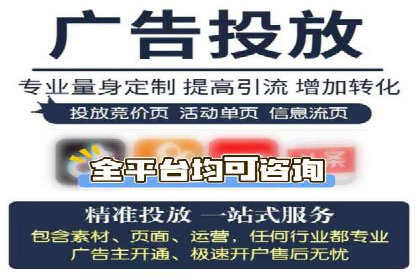 行业领先企业的网络推广与竞价经验